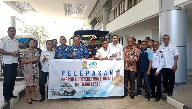 belu-kirim-tomat-ke-timor-leste.jpg