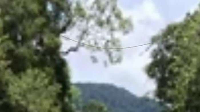 KKB Ternyata Punya Jalan Khusus di Batas Negara Papua Nugini, Bukan Darat atau Sungai Tapi di Udara