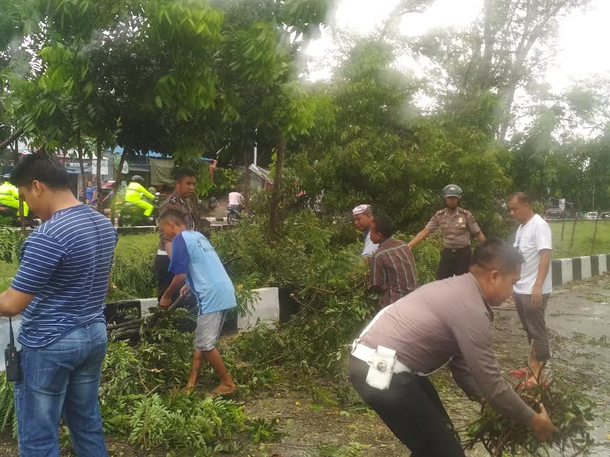 bersihkan-pohon-tumbang-di-jalan-el-tari-kupang.jpg
