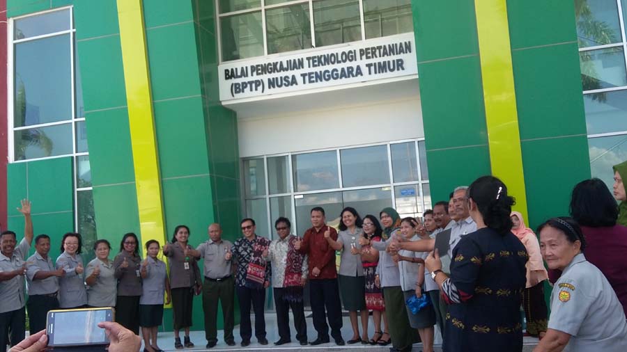 Syamsuddin Jabat Kepala BPTP NTT Yang Baru