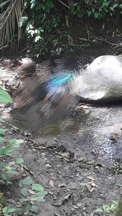 BREAKING NEWS: Warga Desa Manamas Ditemukan Tewas di Oelakaeb-TTU