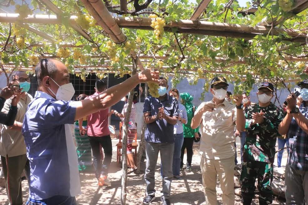 Kehadiran Universitas Pertahanan Mendukung Pertanian di Perbatasan