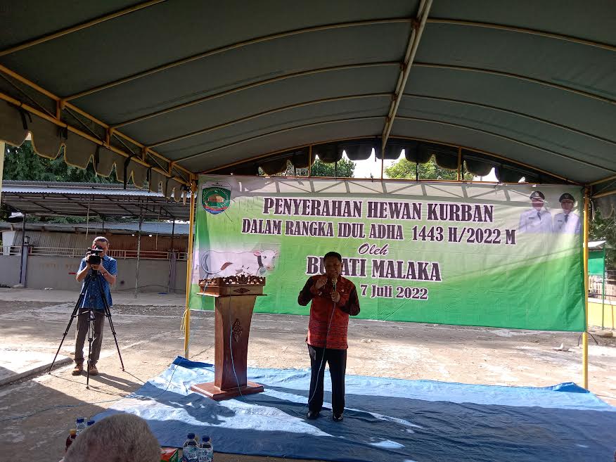 Pemda Serahkan Lima Ekor Sapi untuk Masjid di Malaka