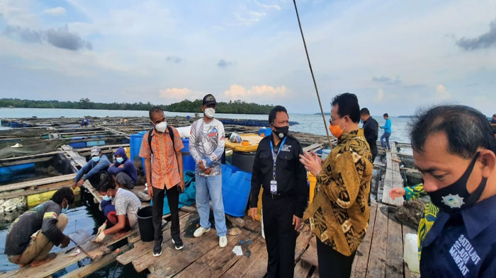 Bupati Malaka Pantau Budidaya Ikan Kerapu Keramba Jaring Apung Belitung