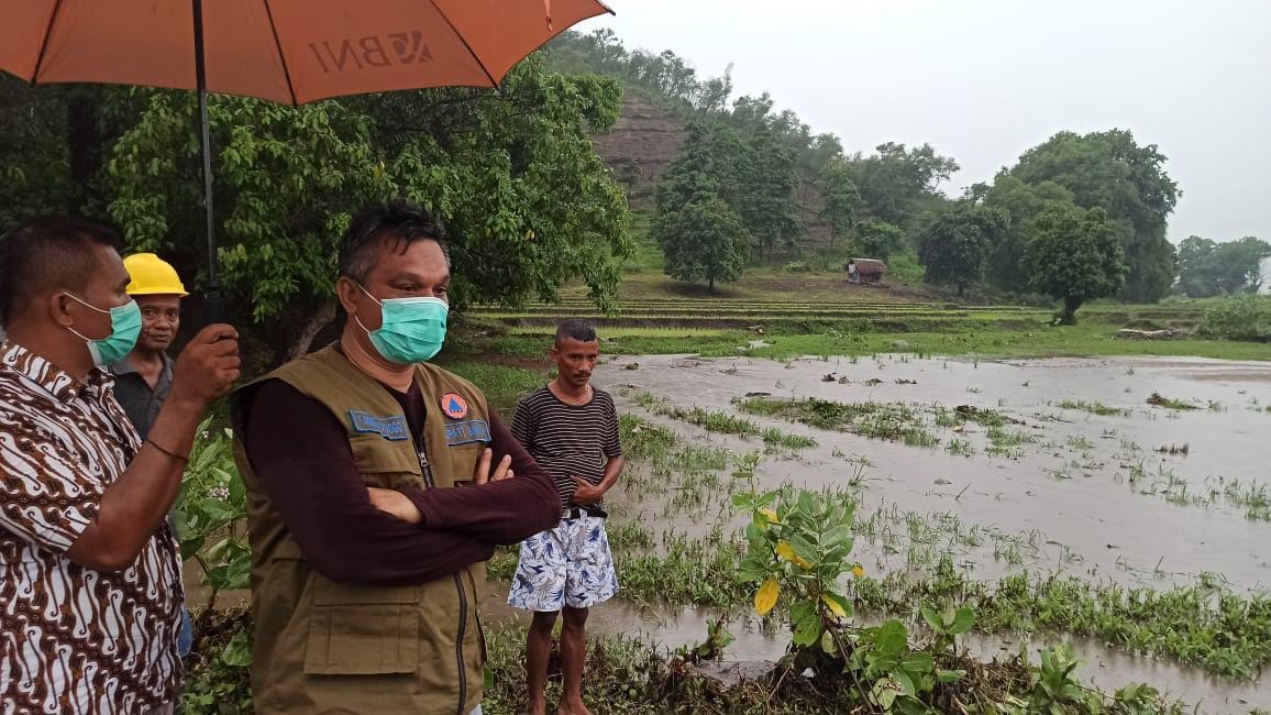 Persawahan Done Diterjang Banjir, Bupati Sikka Langsung Datang ke Lokasi dan Lakukan Pantauan