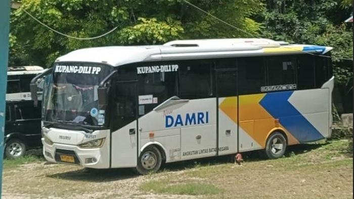 bus-DAMRI-parkir-di-terminal.jpg