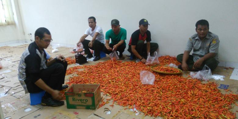 Harga Cabai Rawit di Kupang Tembus Rp 70 Ribu per Kg