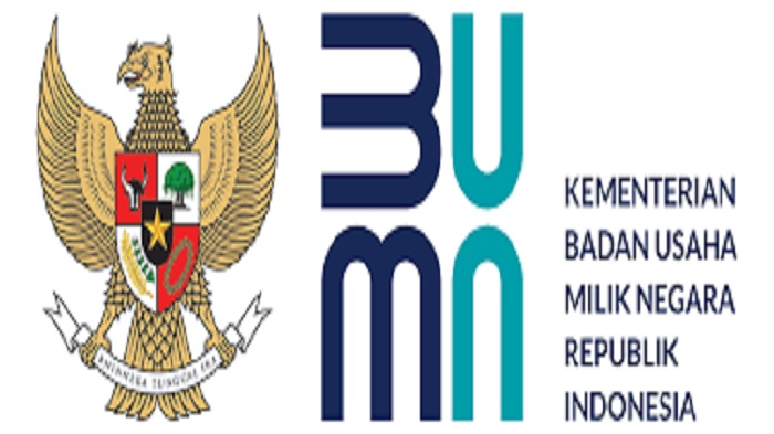 cpns-2021-kementerian-bumn.jpg