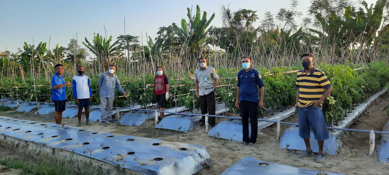 dr-procula-rudlof-matitaputty-bersama-peneliti-dr-ben-de-rosari.jpg