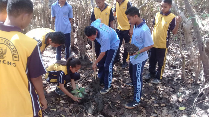 Dukung Program Kementerian PDT, Masyarakat Tanam Mangrove di Pesisir Borong