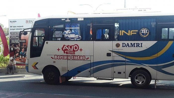 empat-unit-bus-damri-beroperasi-di-bandara-komodo-ini-penjelasan-kadishub-manggarai-barat.jpg