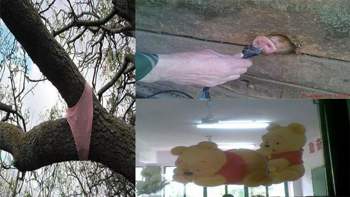 15 Foto Aneh Akan Mengubah Moodmu Hari Ini. Nomor 9 Bikin Sakit Hati