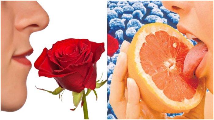 Inilah Gejala Terbaru Terinfeksi Virus Corona, Sering Terjadi Saat Pilek, Waspada!