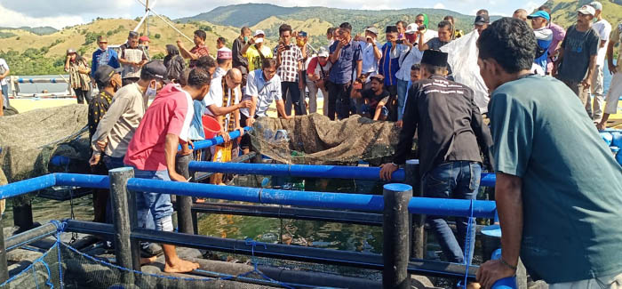 Gubernur NTT Tinjau Keramba Ikan Kerapu di Labuan Kelambu Riung