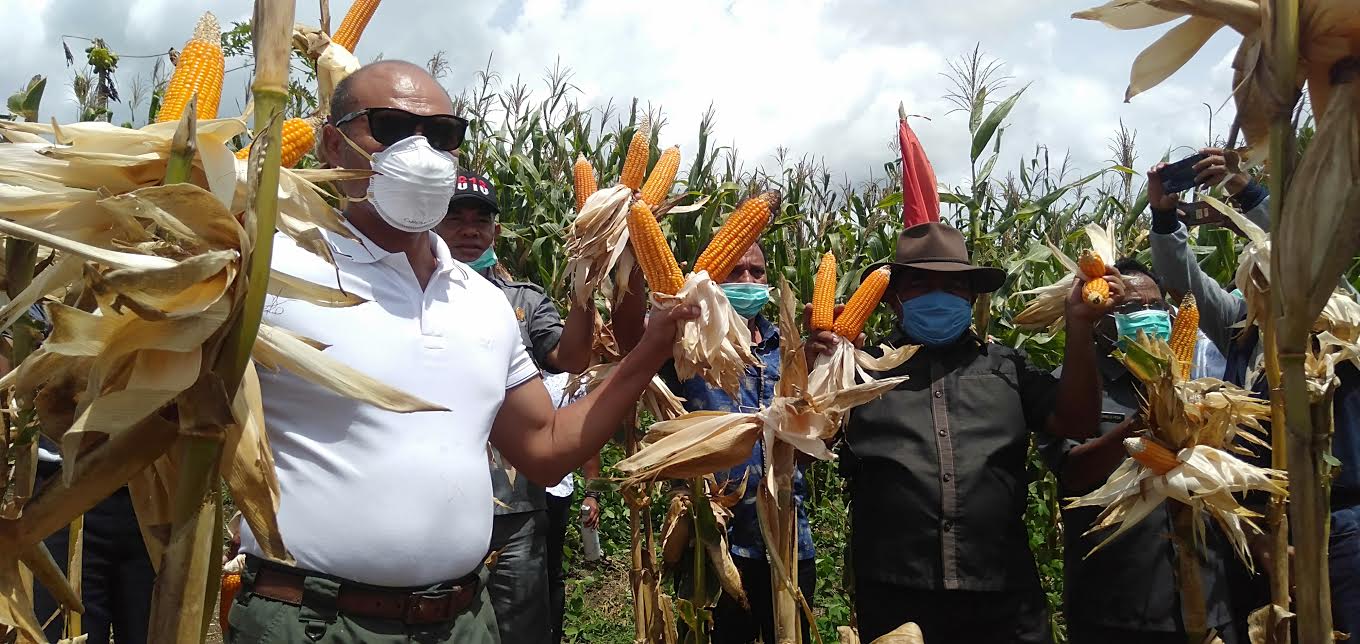 Pemda TTU Akan Replikasi Program TJPS Milik Pemprov NTT