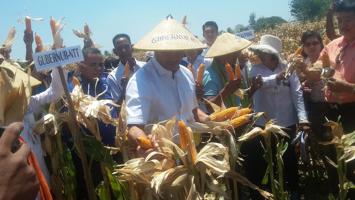 gubernur_20181013_093715.jpg