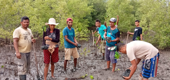 hijaukan-pesisir-poktan-kaju-mata-di-nagekeo-tanam-10-ribu-anakan-mangrove.jpg