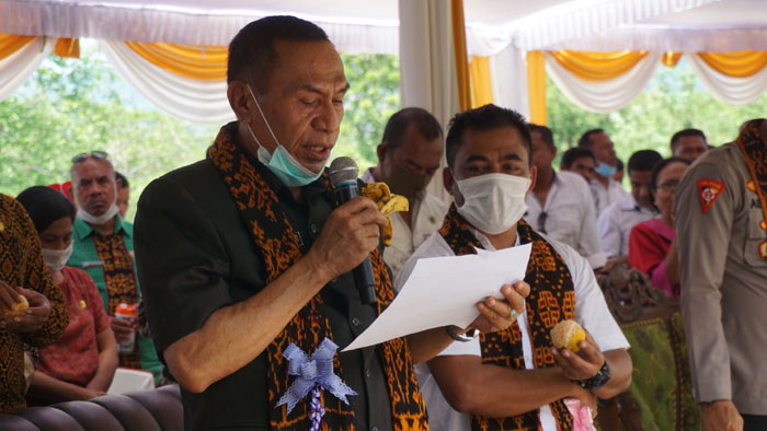 HKN, Bupati Ende Kampanye Makan Buah, dr. Muna Fatma Beberkan Progres Pembangunan Kesehatan