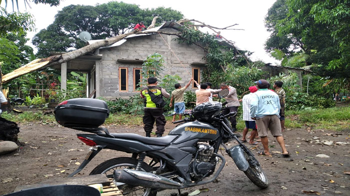 hujan-deras-dan-angin-kencang-landa-ende-rumah-tertindih-pohon.jpg