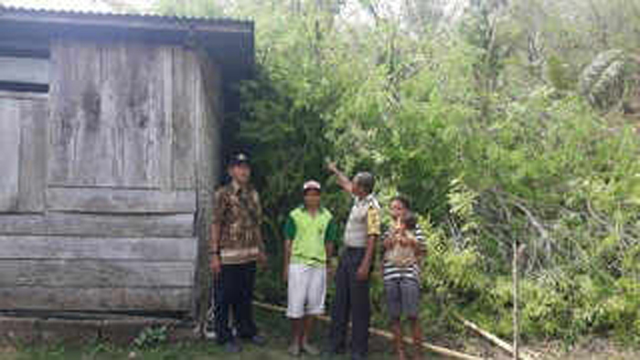 hujan-disertai-angin-rumah-tadeus-tertimpa-pohon.jpg