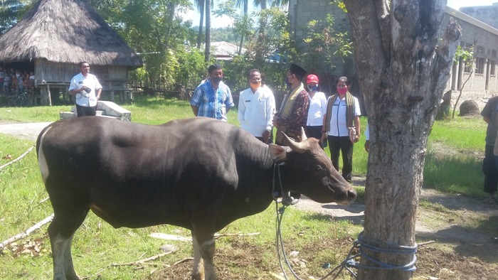 idul-adha-2020-sekda-malaka-donatus-bere-sh-didampingi-ketua-mui-malaka.jpg