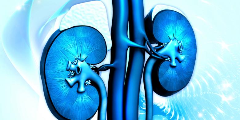 Pertama di Dunia, Pasien HIV Sukses Donorkan Ginjalnya kepada Sesama Penderita HIV