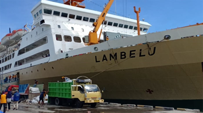 Jadwal Kapal Pelni KM Lambelu Terbaru Februari 2025, Cek Rute BauBau, Maumere, Larantuka - Pos-kupang.com