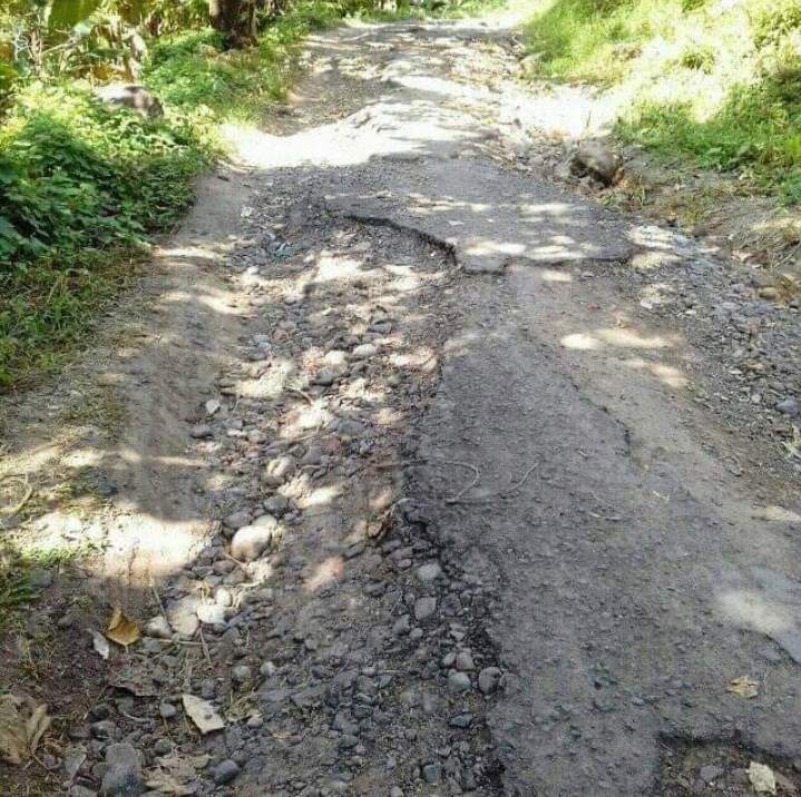 Stef Sumandi : Saya Akan Terus Ingatkan Pemerintah Daerah Sikka Jangan Lupa Jalan Bola-Hale