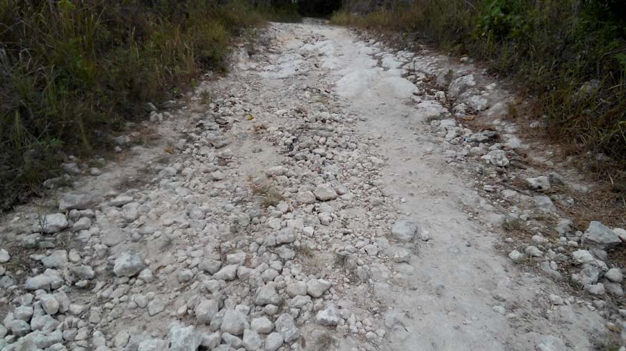 Ini Alasan Warga Minta Aspal Jalan ke Dusun Tana Karang, Desa Binu Dita, Sumba Timur
