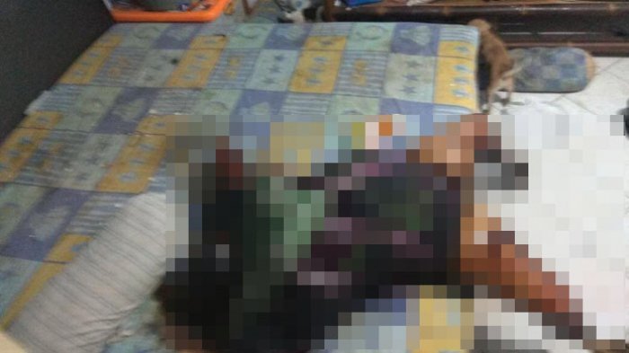 Ini Identitas Wanita yang Jasadnya Dimakan Anjing Peliharannya