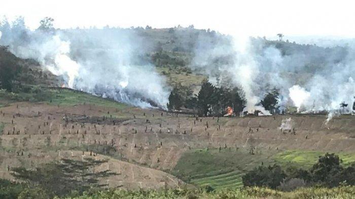 Dampak Kasus Pembunuhan, Wamena Memanas, Warga Saling Serang di Kabupaten Jayawijaya, INFO