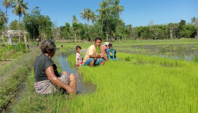 DPRD Sumba Timur Minta Pemerintah Maksimalkan Potensi Pertanian