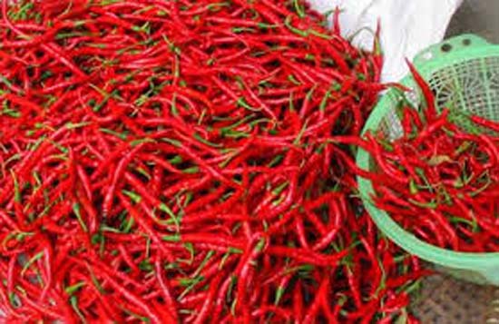 Harga Cabe Rawit di Kupang Juga Melonjak