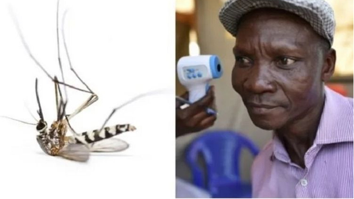Seorang Pria Uganda Joe Rwamirama Mengaku Bisa Bunuh Nyamuk dengan Kentut, Ini Fakta Sebenarnya
