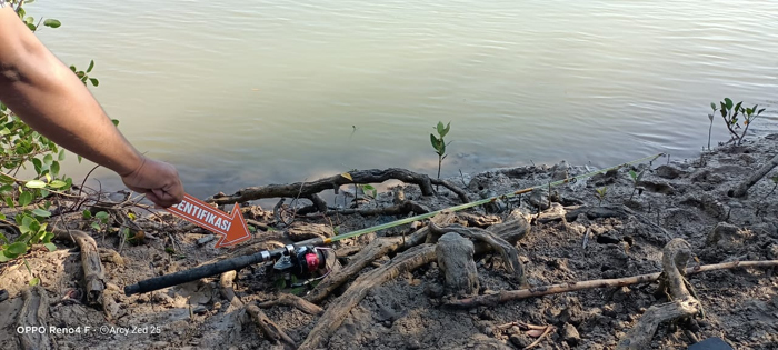 Pria yang Tewas Diterkam Buaya Saat Memancing di Nunkurus Anggota Komunitas MMK