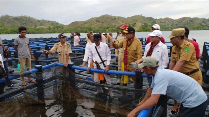 Karantina Perikanan Kupang Tak Tau Masuknya Ikan Kerapu Pengadaan dari Dinas KKP NTT