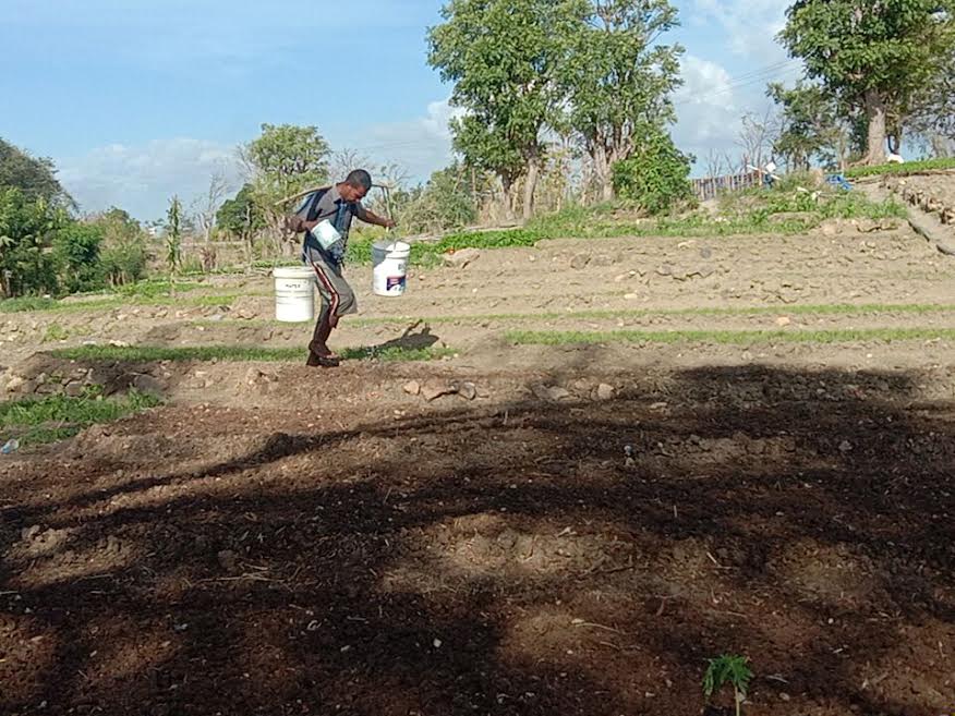 Embung di Kampung Lama Manulai 2 Kota Kupang Hampir Kering