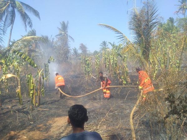 kebakaran-lahan-di-manubura-seluas-15-ha-nyaris-merambat-ke-pemukiman-warga.jpg