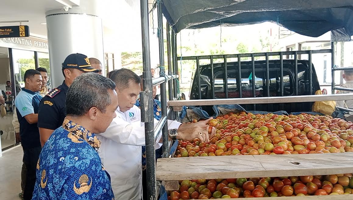 kegiatan-ekspor-perdana-komoditi-tomat-hasil-ekosistem-pertanian.jpg