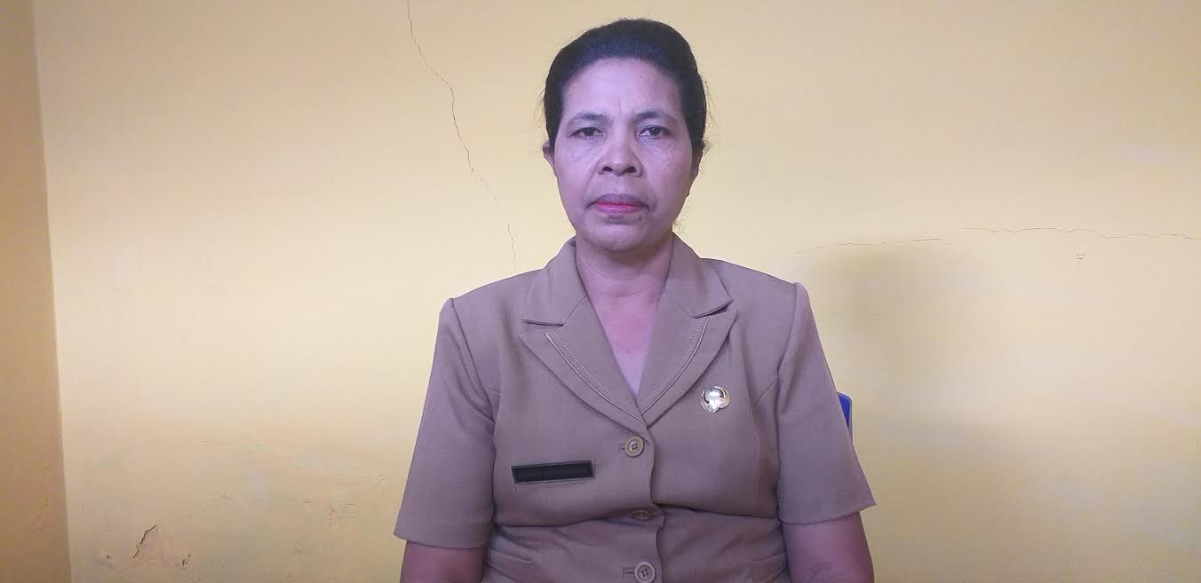 72 Persen Warga Ende Telah Memilii JKN