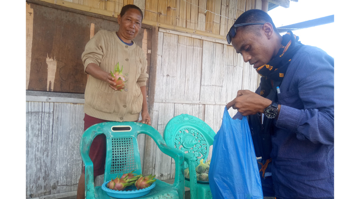 Kisah Prisila Mogi Penjual Buah Naga Asal Pajoreja Mauponggo Nagekeo