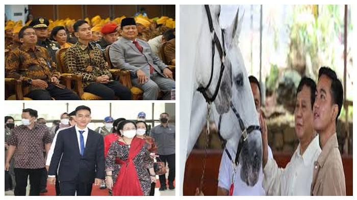 Nama Gibran Mencuat Jadi Cawapres Dampingi Prabowo Subianto, Malah Lebih Populer dari Erick Thohir