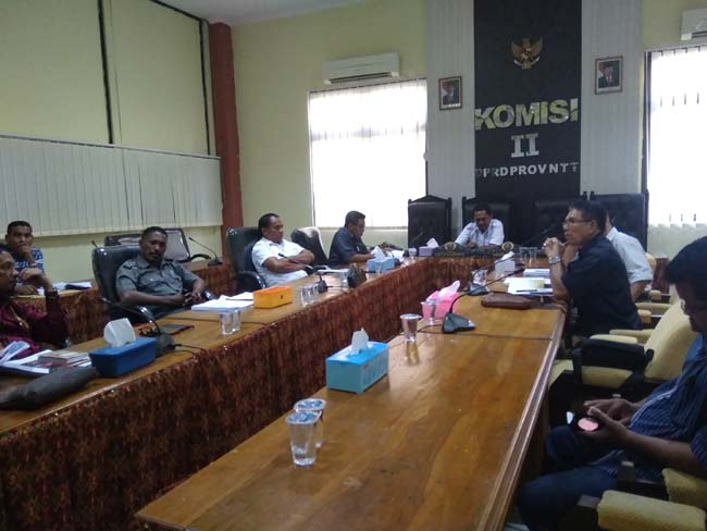 Komisi II DPRD NTT Bahas Ranperda Perlindungan Wisatawan