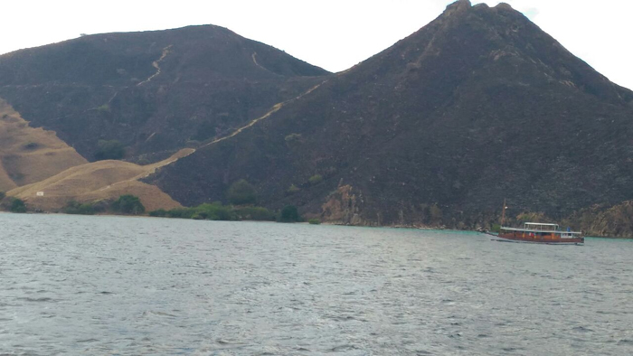 Tim Labfor Turun Olah TKP ke Gili Lawa