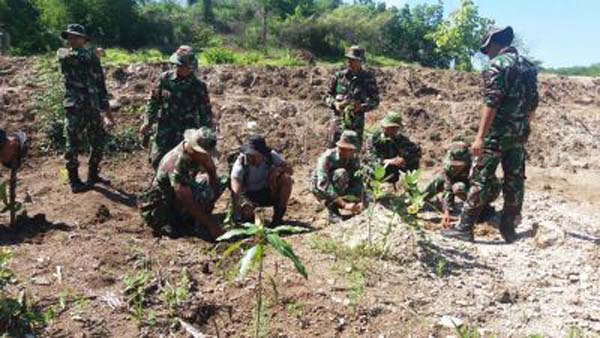 Korem Tanam 700 Anakan Pohon di Bendungan Raknamo