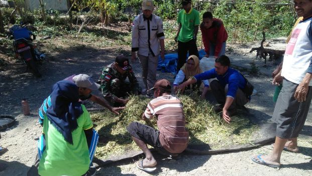 Mahasiswa dan TNI Ajar Warga Cara Buat Pakan Ternak
