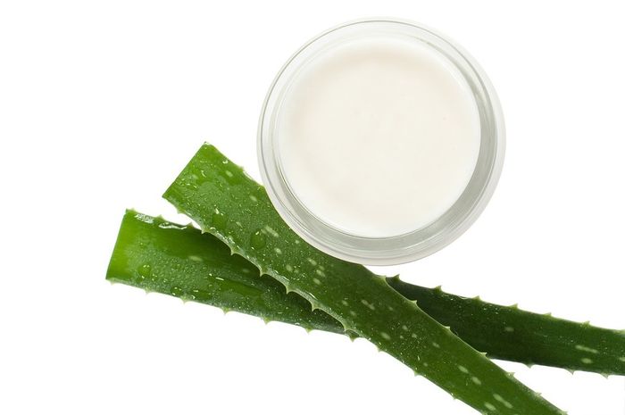manfaat-lidah-buaya-untuk-atasi-eksim-begini-cara-gunakannya-dan-efek-sampingnya.jpg