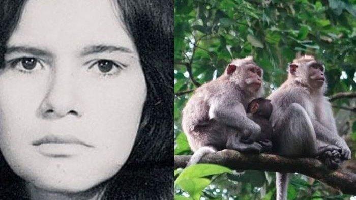 Nasib Wanita Ini Bak Film Tarzan, Dibuang Ke Hutan Lalu Dibesarkan Kawanan Kera, Begini Kisahnya