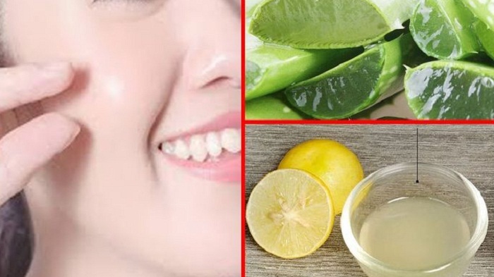 Lidah Buaya Ampuh Bikin Wajah Makin Glowing, Begini Cara Buatnya