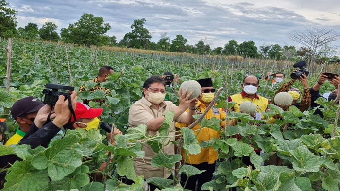 Menko Airlangga Puji Pemda Kalsel, Bantu Isoman Covid-19 dengan Hasil Panen Petani